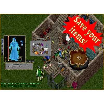 Ultima online - Olmer online "Insurance sertificate" - irongamers.ru