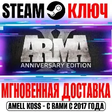 Arma 2 Автогифт RU/KZ/UA - irongamers.ru