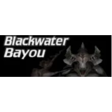 Blackwater Bayou VR STEAM KEY REGION FREE GLOBAL ROW
