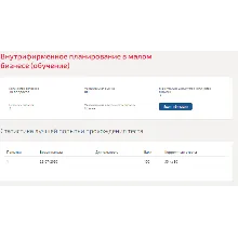 Внутрифирменное планирование в малом бизнесе.Синергия