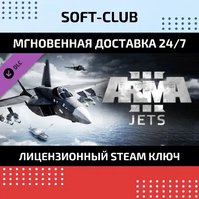 Arma 3 Creator DLC: S.O.G. Prairie Fire DLC STEAM AUTO - irongamers.ru