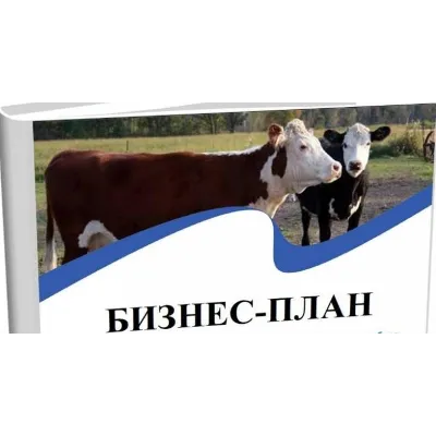 Бизнес-планирование в сельском хозяйстве - irongamers.ru