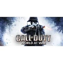 Call of Duty: World at War (Steam Gift Россия)