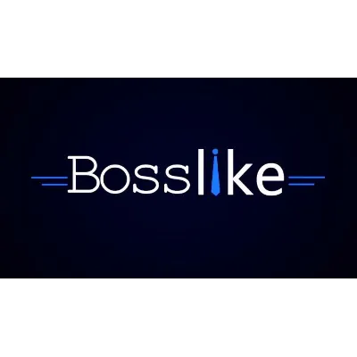 Bosslike купон Босслайк 3000 баллов - irongamers.ru