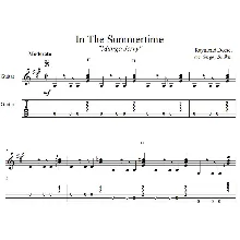 In The Summertime (Mungo Jerry) - для гитары
