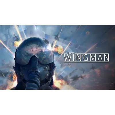 Project Wingman (Steam Gift РОССИЯ УКРАИНА КАЗАХСТАН) - irongamers.ru