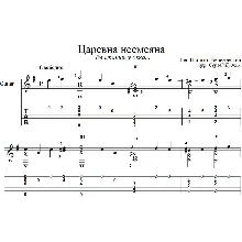 The princess is not laughing guitar cover