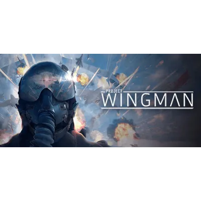 Project Wingman - Steam Access OFFLINE - irongamers.ru