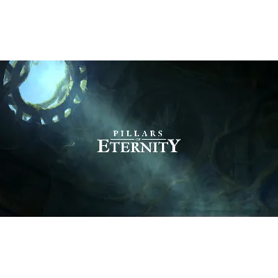 Pillars of Eternity аккаунт Epic Games - irongamers.ru