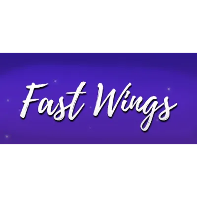 Fast Wings (Steam key/Region free) - irongamers.ru
