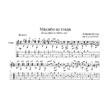 We wave without looking(Shield and sword) -guitar cover