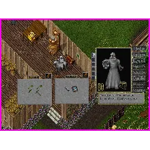 Ultima online - Olmer online 