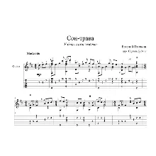 Sleep grass (Trouble has green eyes) - guitar cover