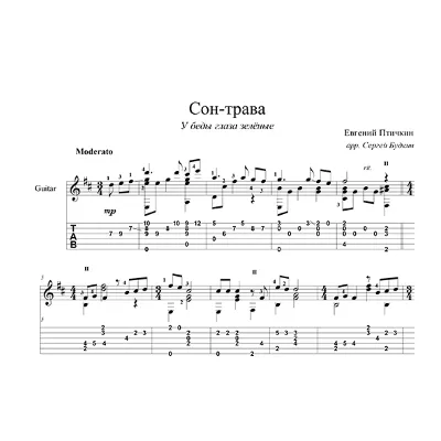Сон трава (У беды глаза зеленые) - для гитары - irongamers.ru