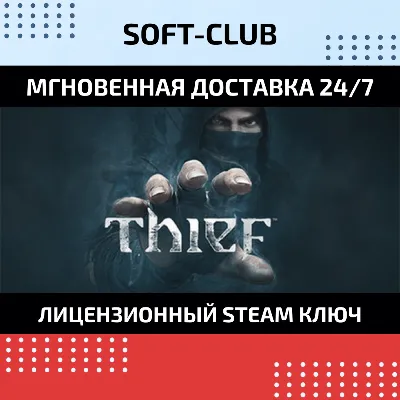 Thief: Master Thief Edition ROW МИР АВТО - irongamers.ru