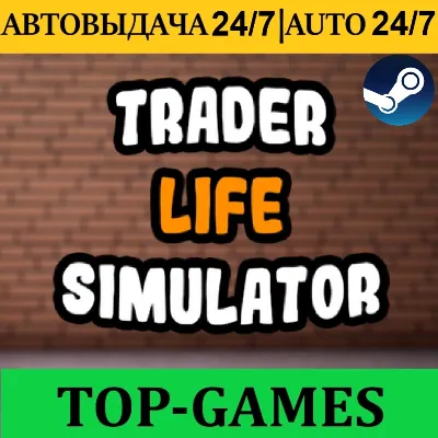 Trader Life Simulator | Steam | АВТОВЫДАЧА 24/7 - irongamers.ru