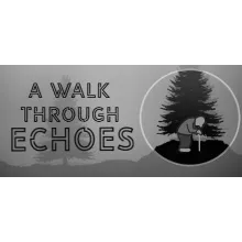 A Walk Through Echoes STEAM KEY REGION FREE GLOBAL ROW