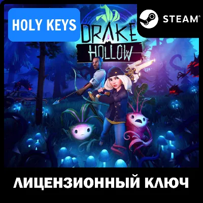 🔥 Drake Hollow 💳 Steam Ключ Global + 🎁 - irongamers.ru