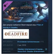 Pillars of Eternity II: Deadfire Beast of Winter STEAM