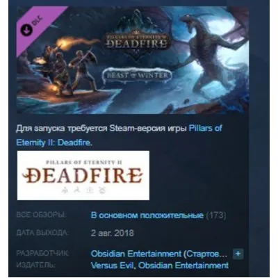 Pillars of Eternity II: Deadfire Beast of Winter STEAM - irongamers.ru