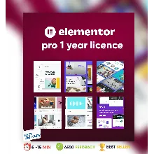 ⭐Elementor Pro 1 год Оригинальная лицензия на плагин ✅