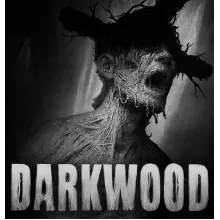 Darkwood ✅ (Аккаунт Epic Games)
