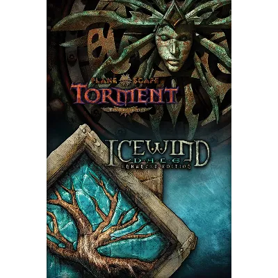 Россия + Мир | Icewind Dale 2: Complete Edition / Dungeons & Dragons | Ключ | GOG - irongamers.ru