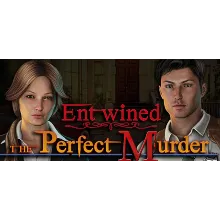 Entwined: The Perfect Murder STEAM KEY REGION FREE +