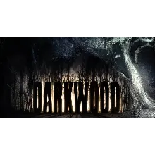 Darkwood (STEAM) Аккаунт Region Free