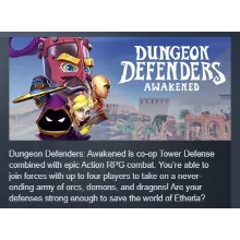 Dungeon Defenders Awakened АВТОДОСТАВКА STEAM РОССИЯ
