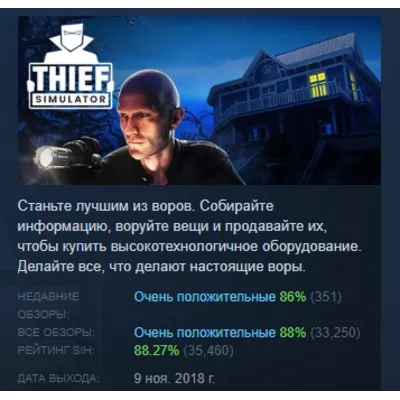 Thief Simulator АВТОДОСТАВКА STEAM GLOBAL МГНОВЕННО ЛИЦЕНЗИЯ - irongamers.ru