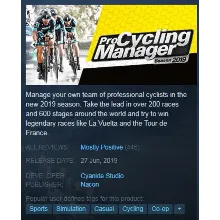 Pro Cycling Manager 2019 (STEAM KEY/RU