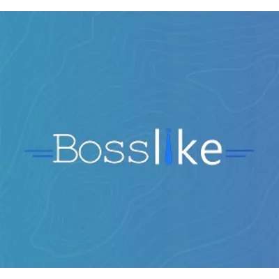 Bosslike купон Босслайк 5.000 баллов - irongamers.ru