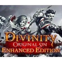 Divinity: Original Sin Enhanced Edition STEAM Аккаунт