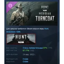 Hunt: Showdown 1896 - Meridian Turncoat STEAM РОССИЯ