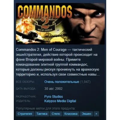 Commandos 2: Men of Courage (Region Free) + Steam 🃏 - irongamers.ru