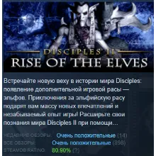Disciples II: Rise of the Elves (Region Free) Steam 🃏