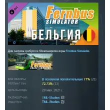 Fernbus Simulator - Belgium Бельгия DLC АВТОДОСТАВКА STEAM РОССИЯ