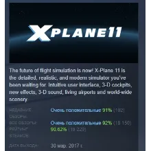 X-Plane 11 АВТОДОСТАВКА STEAM РОССИЯ