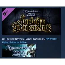Neverwinter Nights: Infinite Dungeons STEAM GIFT РОССИЯ