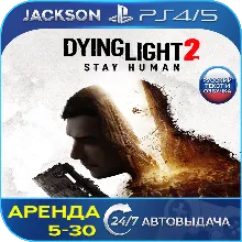 Sakura Succubus 7 PS4 & PS5 - irongamers.ru