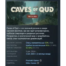 Caves of Qud АВТОДОСТАВКА STEAM РОССИЯ
