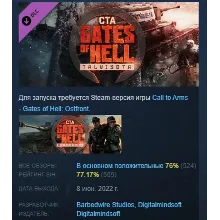 Call to Arms - Gates of Hell: Talvisota АВТОДОСТАВКА STEAM РОССИЯ