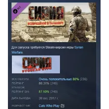 Syrian Warfare: Return to Palmyra DLC STEAM GIFT РОССИЯ