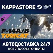 DCS: F-14 by Heatblur Simulations DLC | Steam Gift Росс