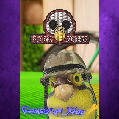 Flying Soldiers XBOX Ключ - irongamers.ru
