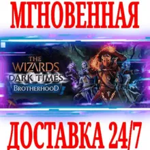 The Wizards Dark Times: Brotherhood VR ⭐Steam\Key⭐ +