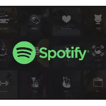 SPOTIFY PREMIUM 3/6/12 МЕС. РАБОТАЕТ В РФ