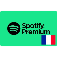⭐ ВСЕ КАРТЫ⭐ Spotify Premium 10-180 EURO (Франция)