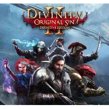 Divinity: Original Sin 2 | PS4/PS5 | Турция